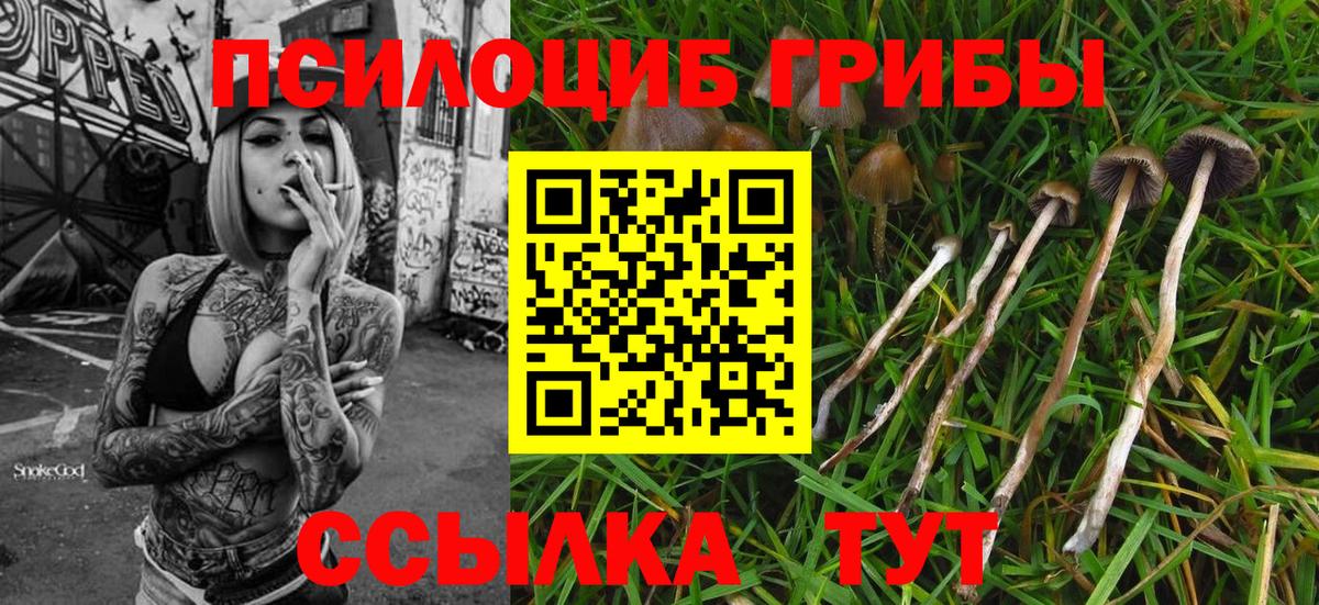 Псилоцибиновые грибы MAGIC MUSHROOMS  Вход с VPN  Галлюциногенные грибы MAGIC MUSHROOMS  Шебекино 